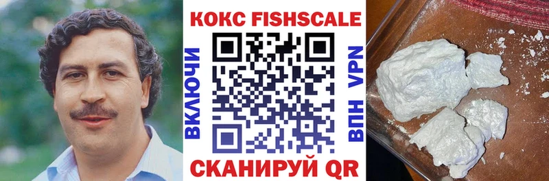 Купить закладки  Темников  Кокаин Fish Scale 