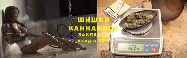 сатива Аркадак