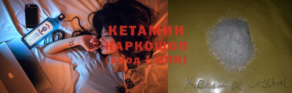 сатива Аркадак