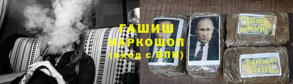 сатива Аркадак
