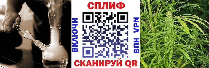 Бошки марихуана VHQ Темников