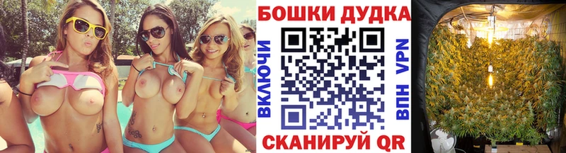 МАРИХУАНА гибрид  Купить закладки  Темников 